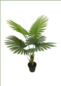 Artificial Premium Fan Palm